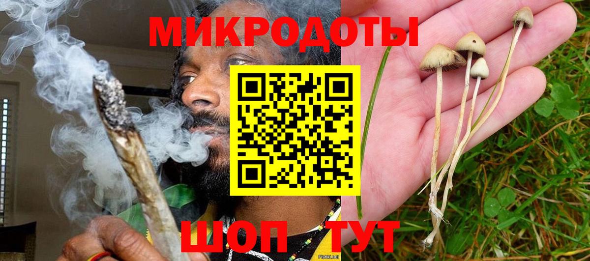Псилоцибиновые грибы Cubensis Рубцовск